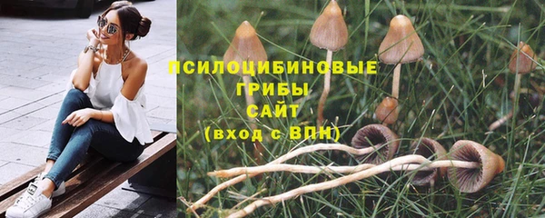 гидропоника Богданович