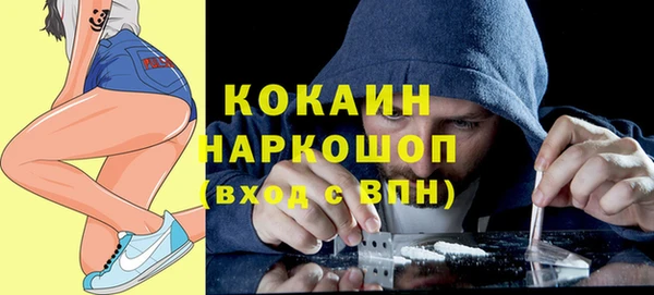 гидропоника Богданович